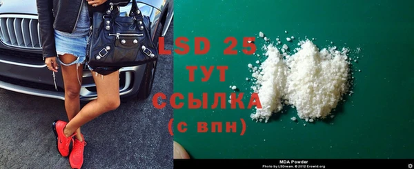 твердый Богданович