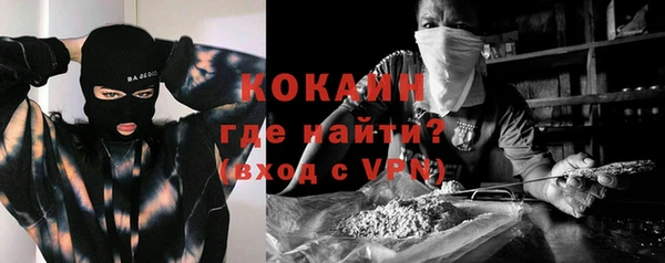мдпв Богородск