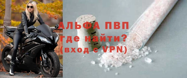твердый Богданович
