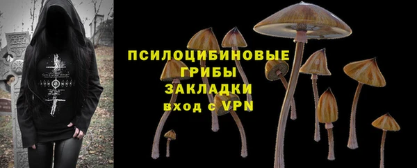 эйфоретик Богородицк