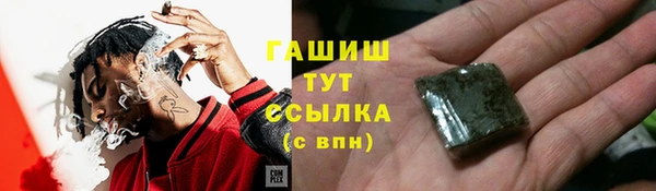 мдпв Богородск