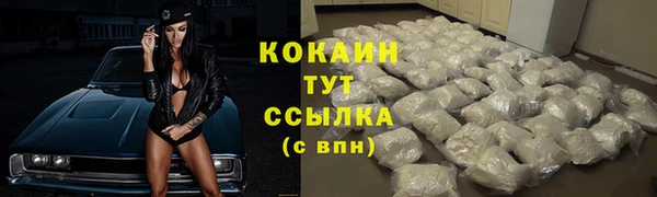 мдпв Богородск