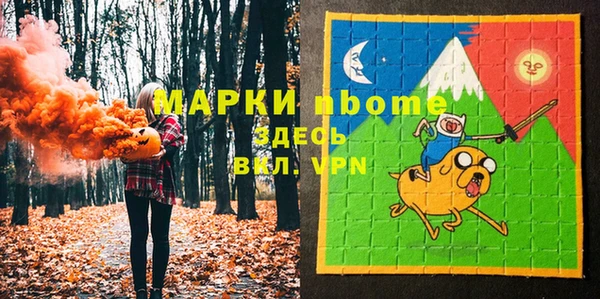 мдпв Богородск
