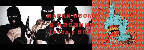 мдпв Богородск