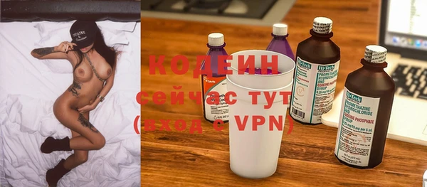 твердый Богданович