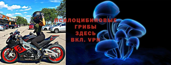 мдпв Богородск