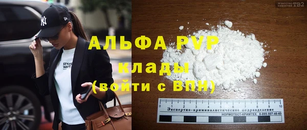 твердый Богданович