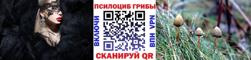 Псилоцибиновые грибы Psilocybine cubensis  Купить закладки  Кудрово 
